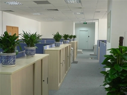 企業（yè）風采